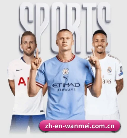 完美体育企业门户五大硬核板块，构建全景式体育生态